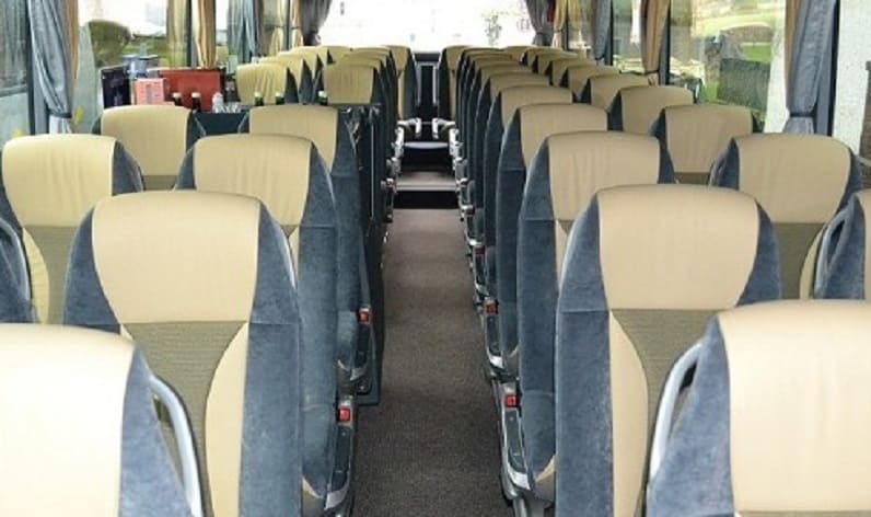 France: Coach operator in Auvergne-Rhône-Alpes in Auvergne-Rhône-Alpes and Meyzieu